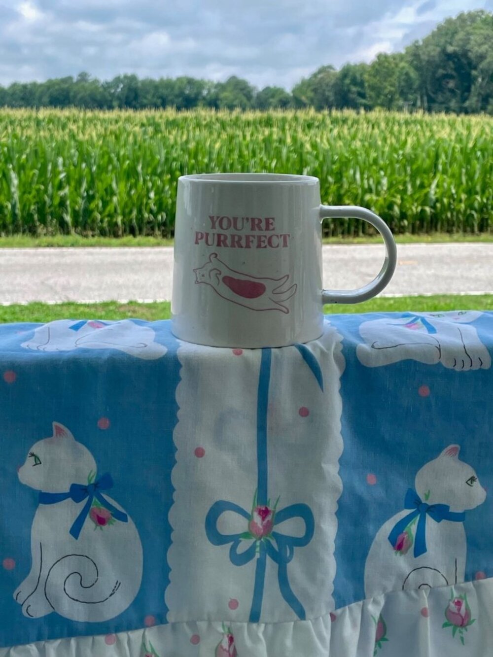 You're Purrfect Pink Cat Mug Room Essentials Crazy Cat Lady Cottage